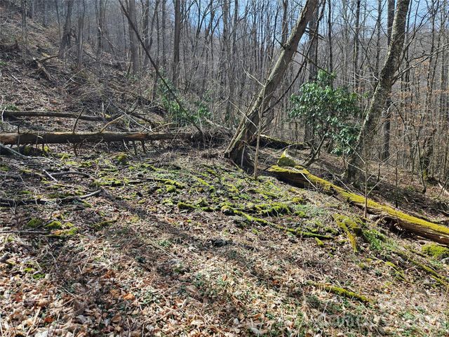 000 Forbidden Cove, Waynesville, NC 28785