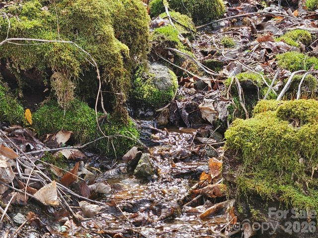 000 Forbidden Cove, Waynesville, NC 28785