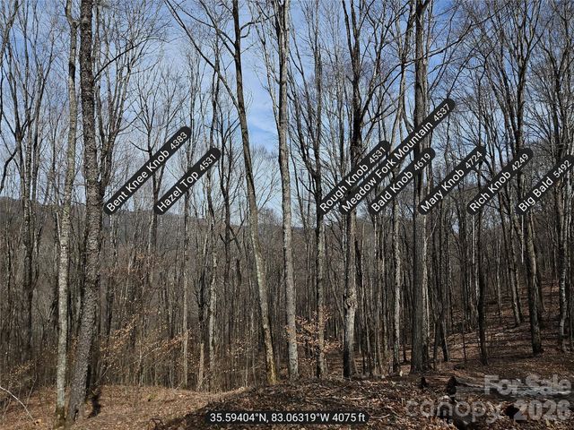 000 Forbidden Cove, Waynesville, NC 28785