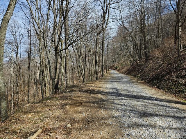 000 Forbidden Cove, Waynesville, NC 28785