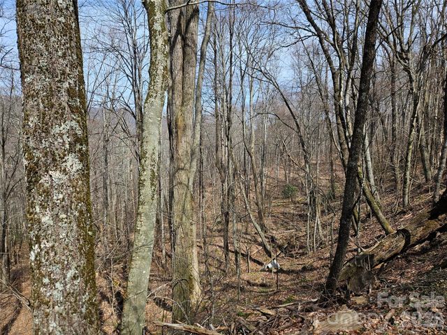 000 Forbidden Cove, Waynesville, NC 28785