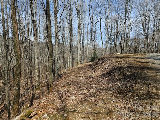 000 Forbidden Cove, Waynesville, NC 28785