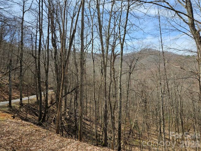 000 Forbidden Cove, Waynesville, NC 28785
