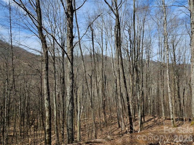 000 Forbidden Cove, Waynesville, NC 28785