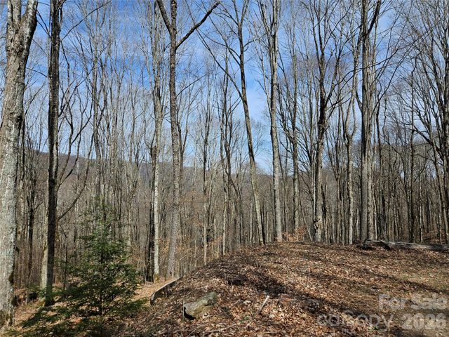 000 Forbidden Cove, Waynesville, NC 28785