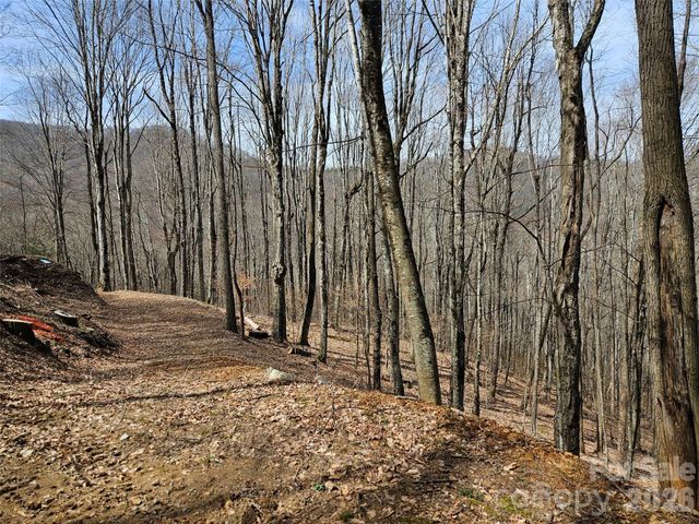 000 Forbidden Cove, Waynesville, NC 28785