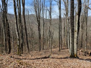 000 Forbidden Cove, Waynesville, NC 28785