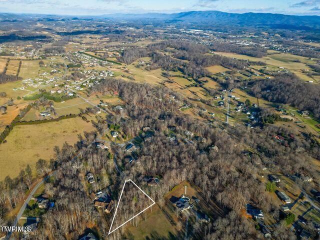 Tbd Allison Court, Piney Flats, TN 37686