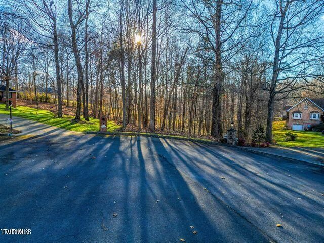 Tbd Allison Court, Piney Flats, TN 37686