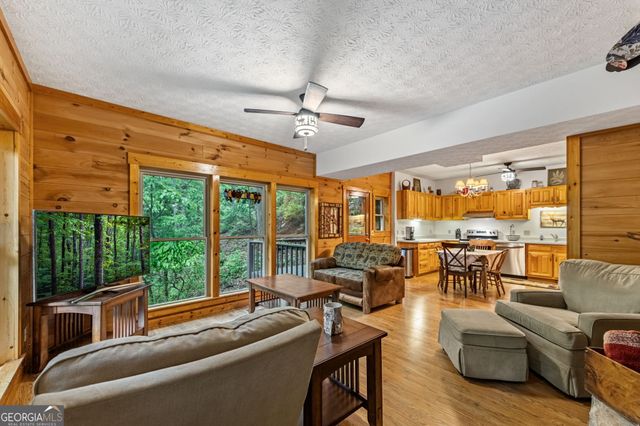 4396 Highway 382 W, Ellijay, GA 30540