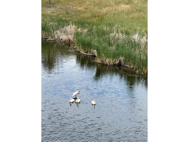 7170 S Riverwood Way, Aurora, CO 80016