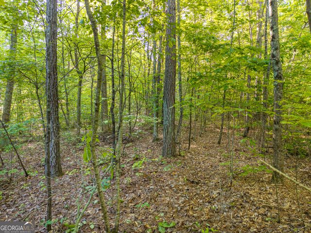 LOT 42 Harris Creek Drive, Ellijay, GA 30540