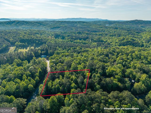 LOT 42 Harris Creek Drive, Ellijay, GA 30540