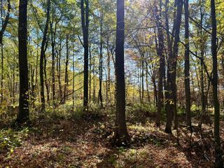 TBD County Rd. 8, Brainerd, MN 56401