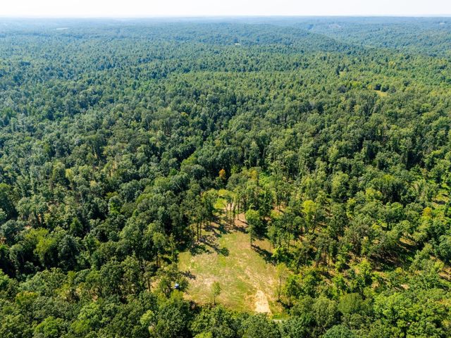 425 Dyer Rd, Hurricane Mills, TN 37078