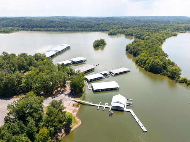 425 Dyer Rd, Hurricane Mills, TN 37078