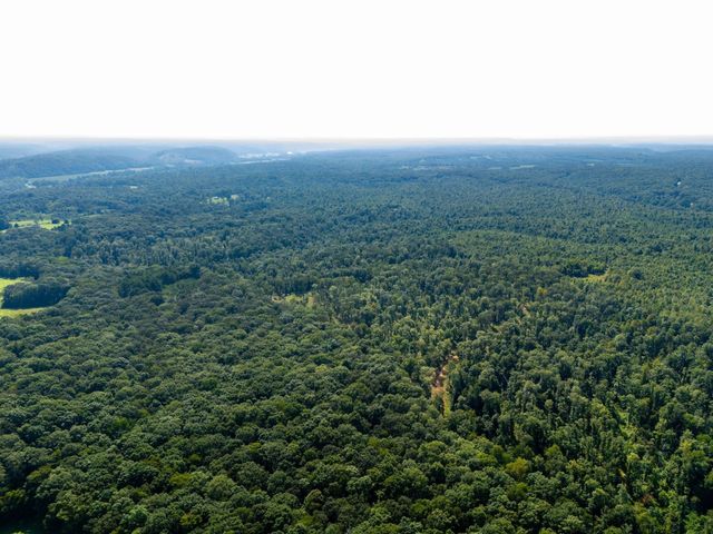 425 Dyer Rd, Hurricane Mills, TN 37078