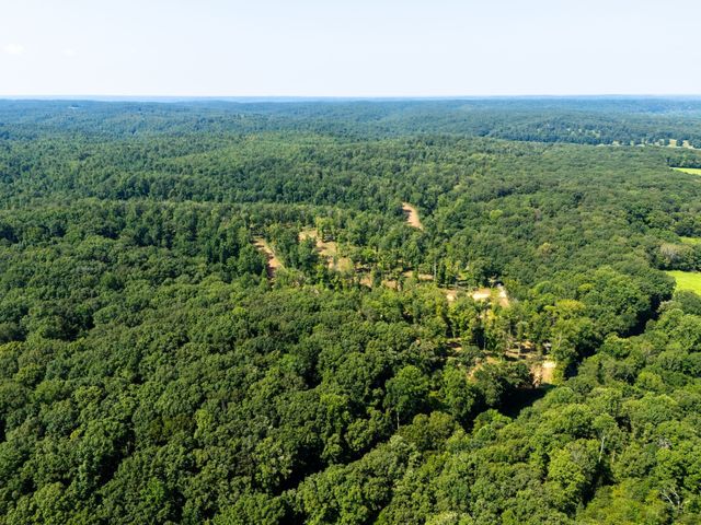 425 Dyer Rd, Hurricane Mills, TN 37078