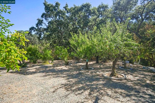 864 Coachman Pl, Clayton, CA 94517