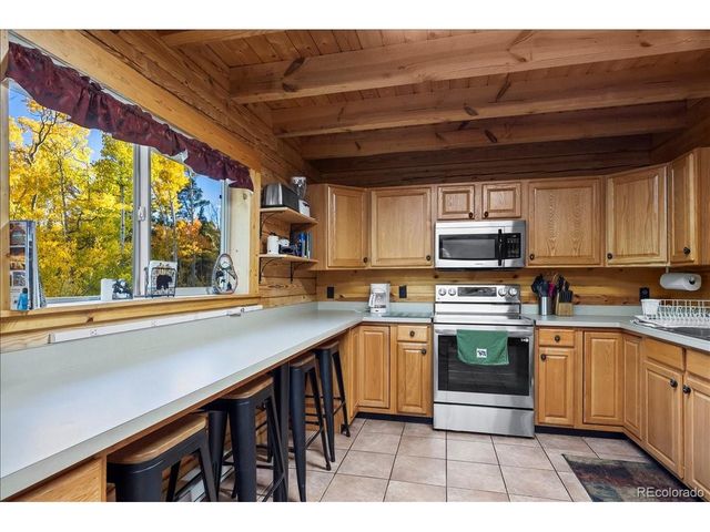 1119 Venture Rd, Fairplay, CO 80440