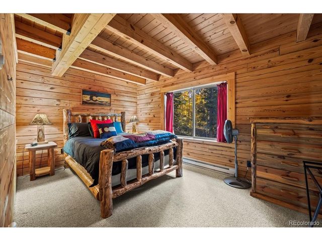 1119 Venture Rd, Fairplay, CO 80440