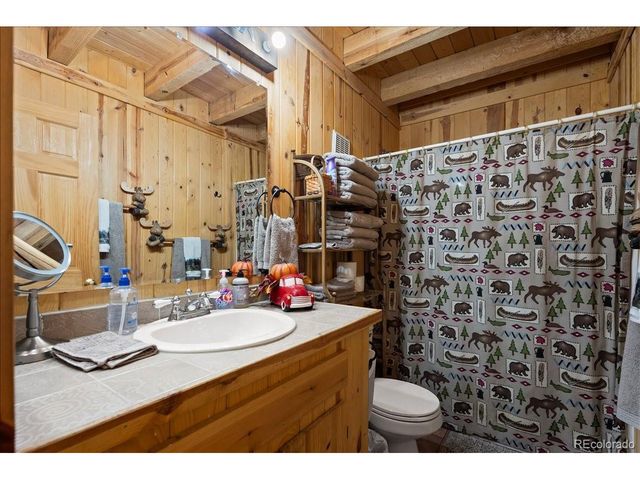 1119 Venture Rd, Fairplay, CO 80440