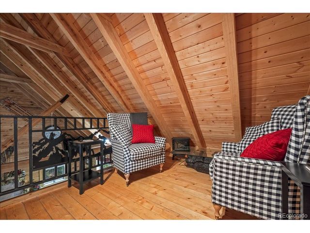 1119 Venture Rd, Fairplay, CO 80440