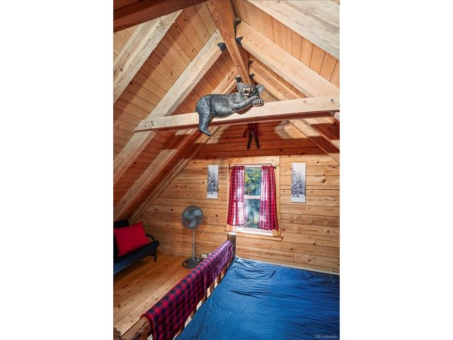 1119 Venture Rd, Fairplay, CO 80440