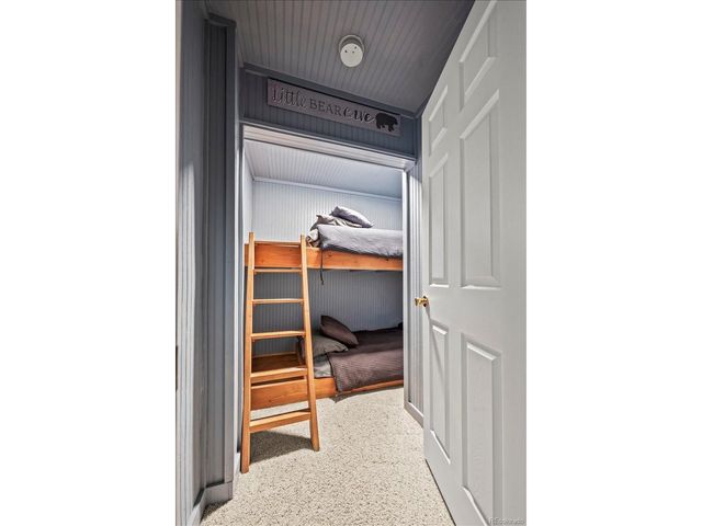 1119 Venture Rd, Fairplay, CO 80440