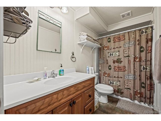 1119 Venture Rd, Fairplay, CO 80440