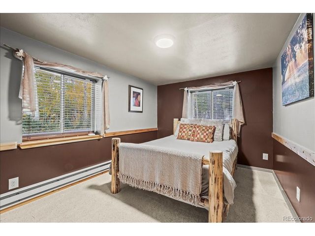 1119 Venture Rd, Fairplay, CO 80440