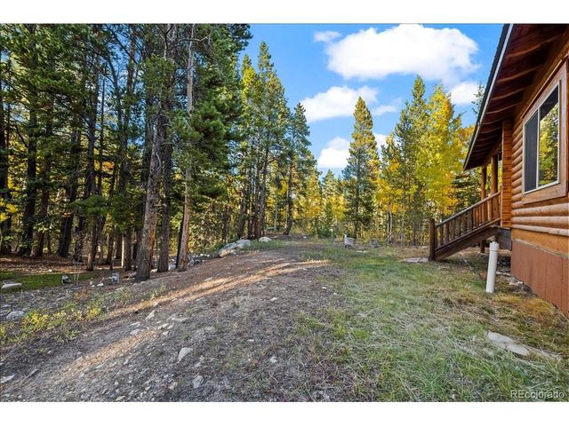 1119 Venture Rd, Fairplay, CO 80440