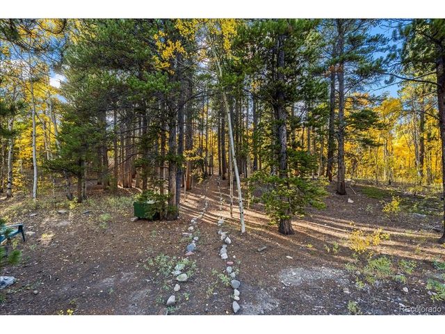 1119 Venture Rd, Fairplay, CO 80440