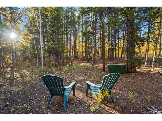 1119 Venture Rd, Fairplay, CO 80440