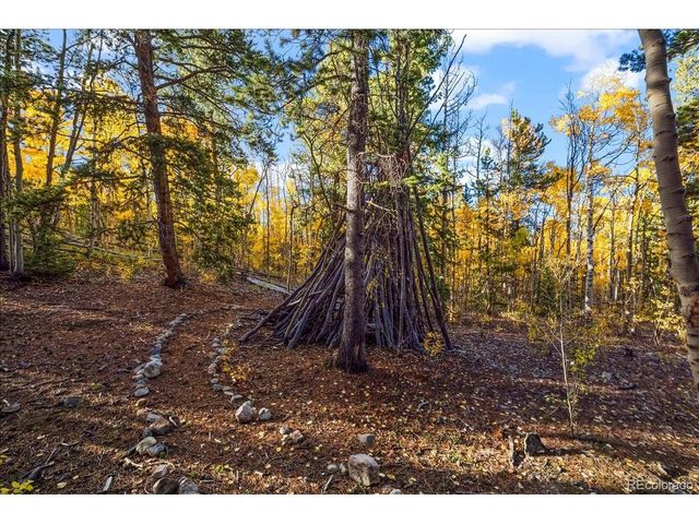 1119 Venture Rd, Fairplay, CO 80440