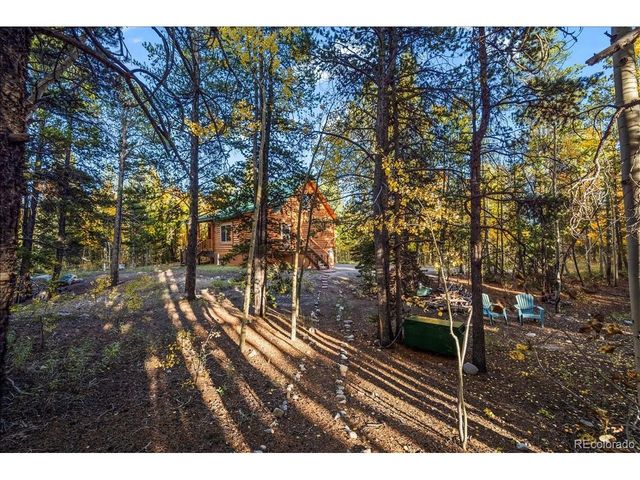 1119 Venture Rd, Fairplay, CO 80440