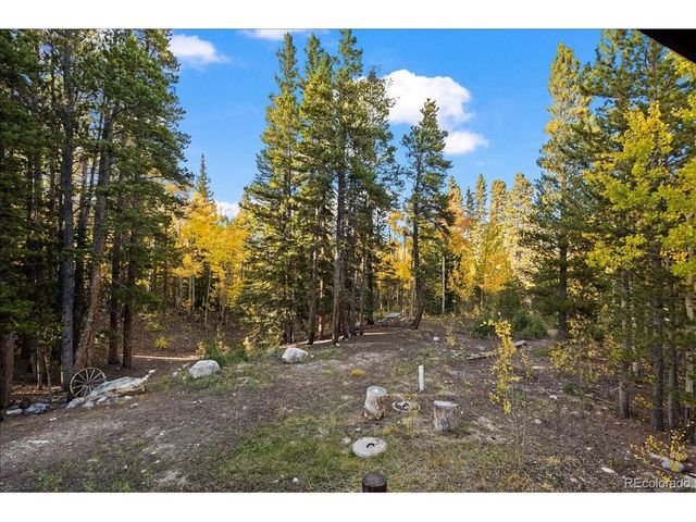 1119 Venture Rd, Fairplay, CO 80440