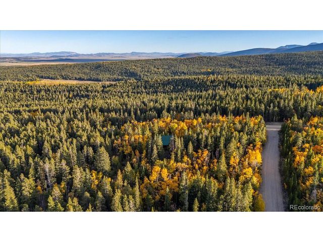 1119 Venture Rd, Fairplay, CO 80440