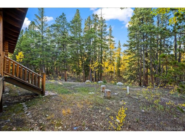 1119 Venture Rd, Fairplay, CO 80440