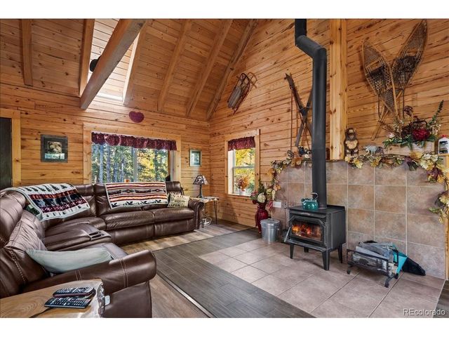 1119 Venture Rd, Fairplay, CO 80440