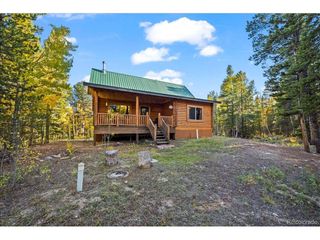 1119 Venture Rd, Fairplay, CO 80440