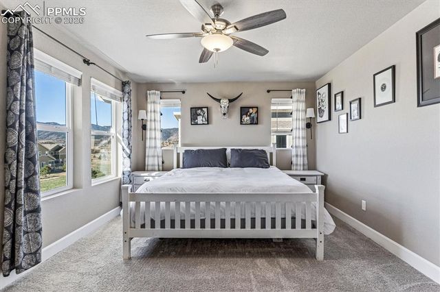 1747 Peak Prairie Lane, Monument, CO 80132