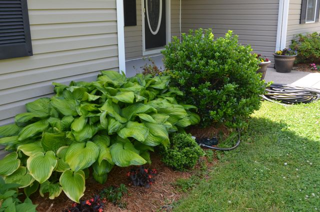 15 Delmas Gilliam Road, London, KY 40741