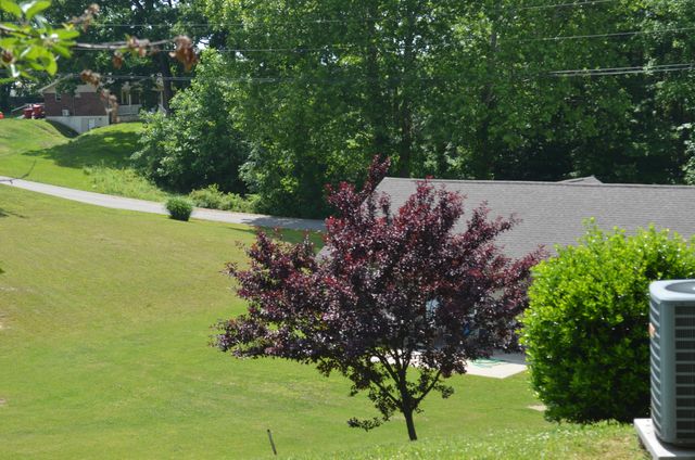 15 Delmas Gilliam Road, London, KY 40741