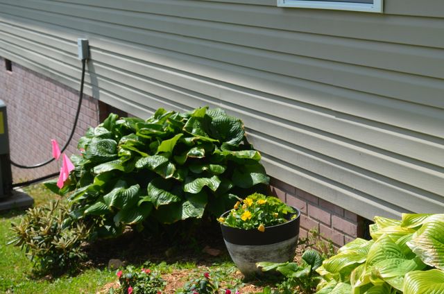 15 Delmas Gilliam Road, London, KY 40741