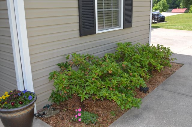 15 Delmas Gilliam Road, London, KY 40741