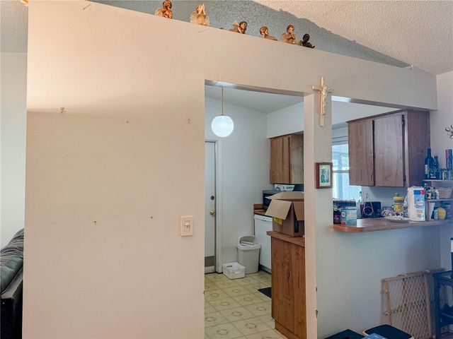 12523 CARDIFF DRIVE, Tampa, FL 33625