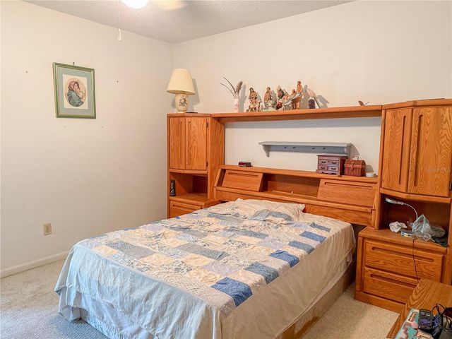 12523 CARDIFF DRIVE, Tampa, FL 33625