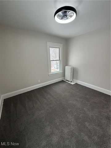 1381 E 110 Street, Cleveland, OH 44106