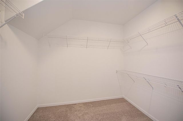 107 Silver Sky Court, Conroe, TX 77304